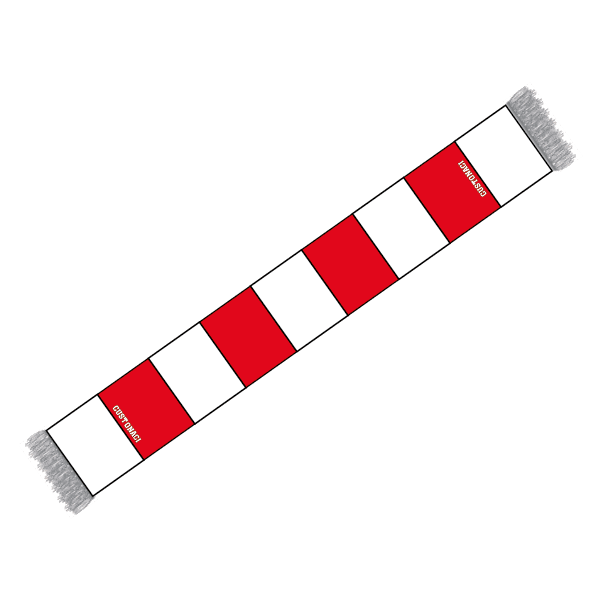 Sciarpa tubolare classica